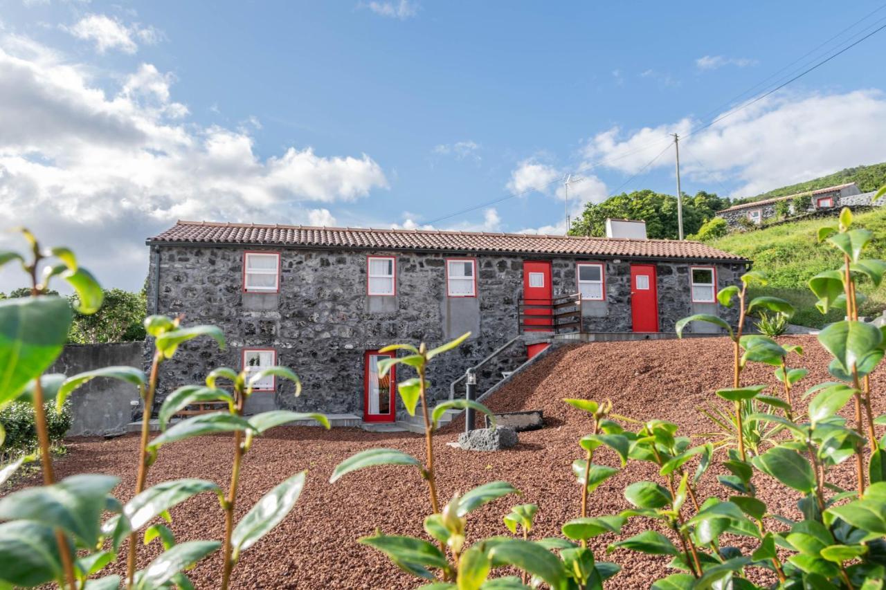 Aldeia Da Gingeira Villa Sao Mateus  Exterior photo